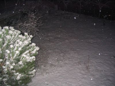 nieve4.JPG